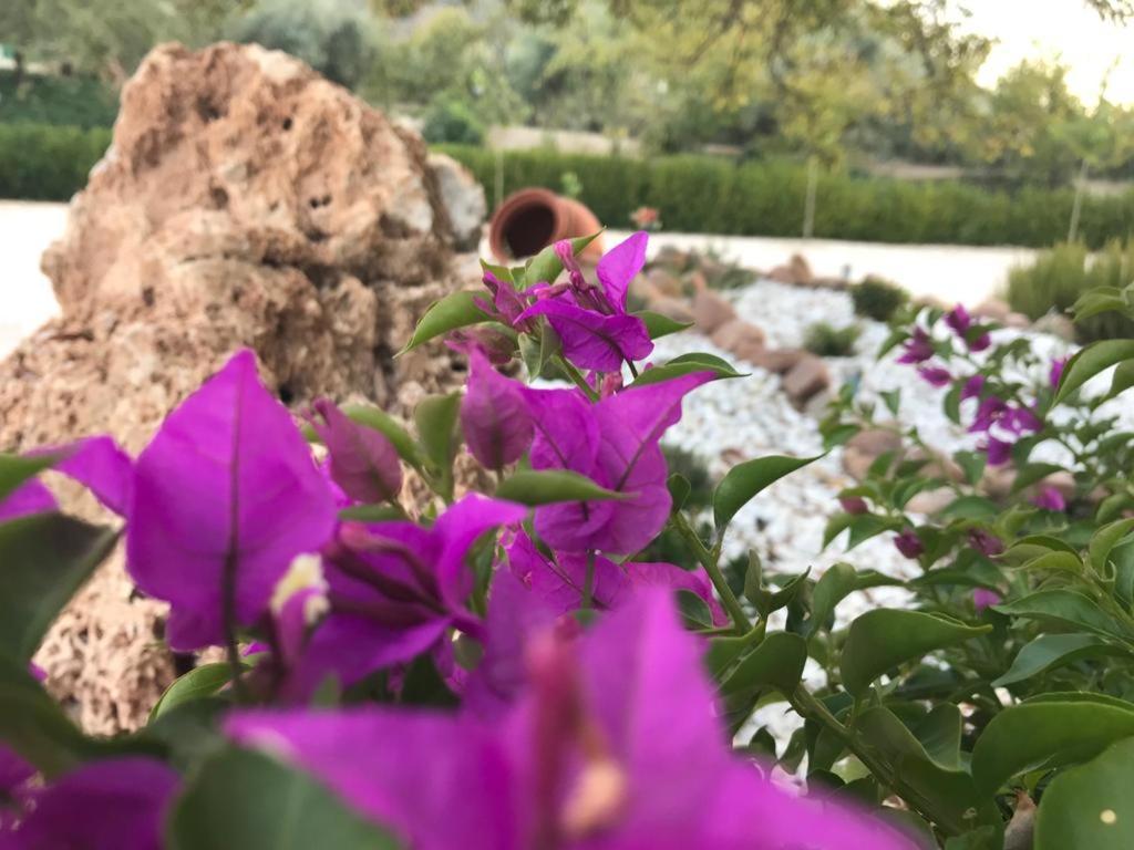 Alojamiento Rural Casa Fuente Del Prado La Iruela Zewnętrze zdjęcie