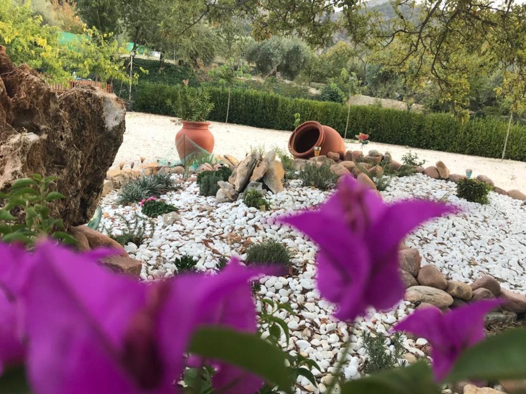 Alojamiento Rural Casa Fuente Del Prado La Iruela Zewnętrze zdjęcie